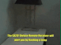 Asl Flasher GIF