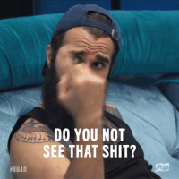 bigbrotherafterdark big brother bbad big brother after dark bb19 GIF