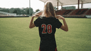 University Of Louisville Go Cards GIF by Louisville Cardinals