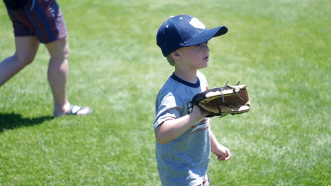 baseball catch GIF by Kane County Cougars