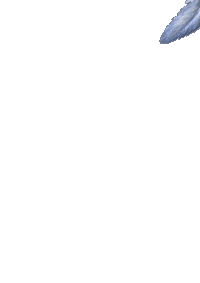 Blue Feather Falling Sticker