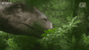Hungry Nom Nom GIF by Apple TV+