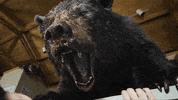 Hungry Chaos GIF by Cocaine Bear