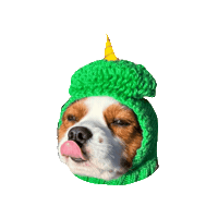 Dogs Love Sticker