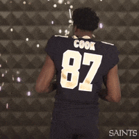 Nfl Go Saints GIF by New Orleans Saints