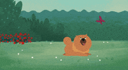 Dog Playing GIF by Kitty Is Not A Cat