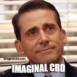 The Office Crying GIF by Imaginal Biotech