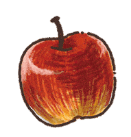 Apple リンゴ Sticker by nicocook