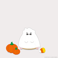 Happy Trick Or Treat GIF by hamsta.world