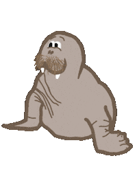 Walrus Sticker