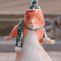 Happy Hamster GIF by Dedoles