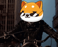 Money Crypto GIF by Baby Doge Coin