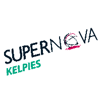 5K Supernova Sticker by Edinburgh Marathon Festival