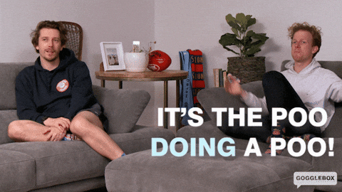 Poo Watching Tv GIF by Gogglebox Australia