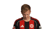 Eintracht Frankfurt Sticker by Bundesliga