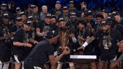 Celebration Champions GIF by NBA