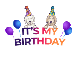 Pancakeandwaffles dog collar dog birthday birthday dog happy birthday dog Sticker