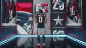 Football Nfl GIF by New England Patriots