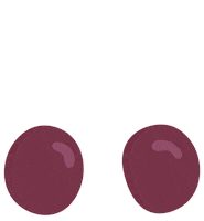 lucart earrings par pair fuli Sticker