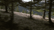 unreal GIF by EchoBoom Sports