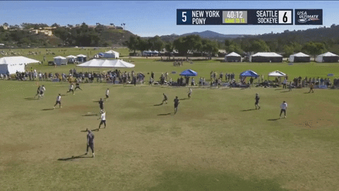 flikulti ultimate frisbee flik GIF