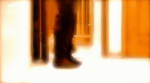 karadennison giphyupload dog puppy animal planet GIF