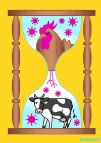 Best Wishes Good Luck GIF by PEEKASSO