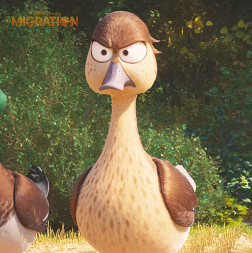MigrationMovie giphyupload angry duck marriage GIF
