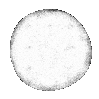 Nest Jafra Sticker by Jafra Productions