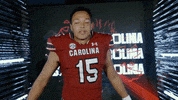 College Football GIF by gamecocksonline