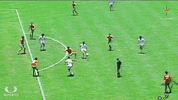 Futbol Mexicano Football GIF by MiSelecciónMX