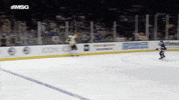 Isles GIF by New York Islanders