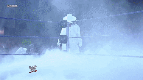 shawn michaels sport GIF by WWE