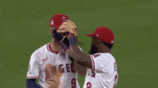 La Angels Luis GIF by Los Angeles Angels