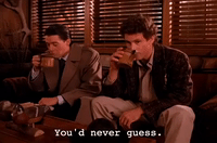 season 1 GIF by Twin Peaks on Showtime