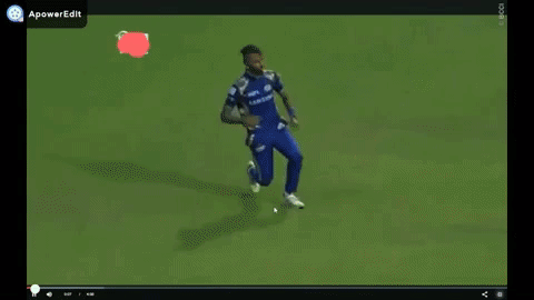ipl GIF