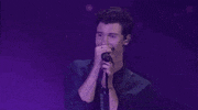 shawn mendes GIF by AMAs