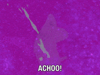 Charlie Sneeze GIF by Adult Swim