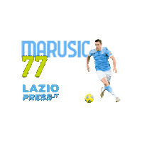 Serie A Calcio Sticker by LazioPress.it