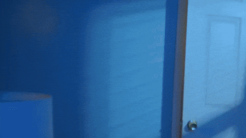 GIF by Domani