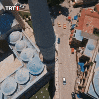 Night Lights GIF by TRT