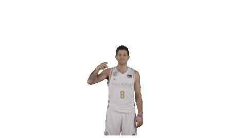 Real Madrid Basketball Sticker by ACB