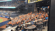 strike out citi field GIF by The 7 Line