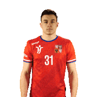 Ceska Hazena Sticker by Czech Handball