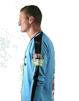 fk teplice grigar Sticker