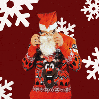 Fun Christmas GIF by Fortuna Düsseldorf