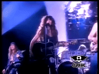 hideaway leatherwolf GIF