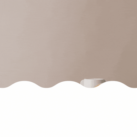 kobieallisonpsychology giphyupload psychologists professional psychologists psychologist from sunshine coast GIF