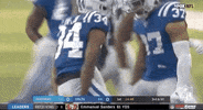 Regular Season Football GIF by NFL