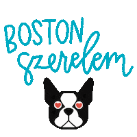 dogdream boston terrier cica kutya cuki Sticker